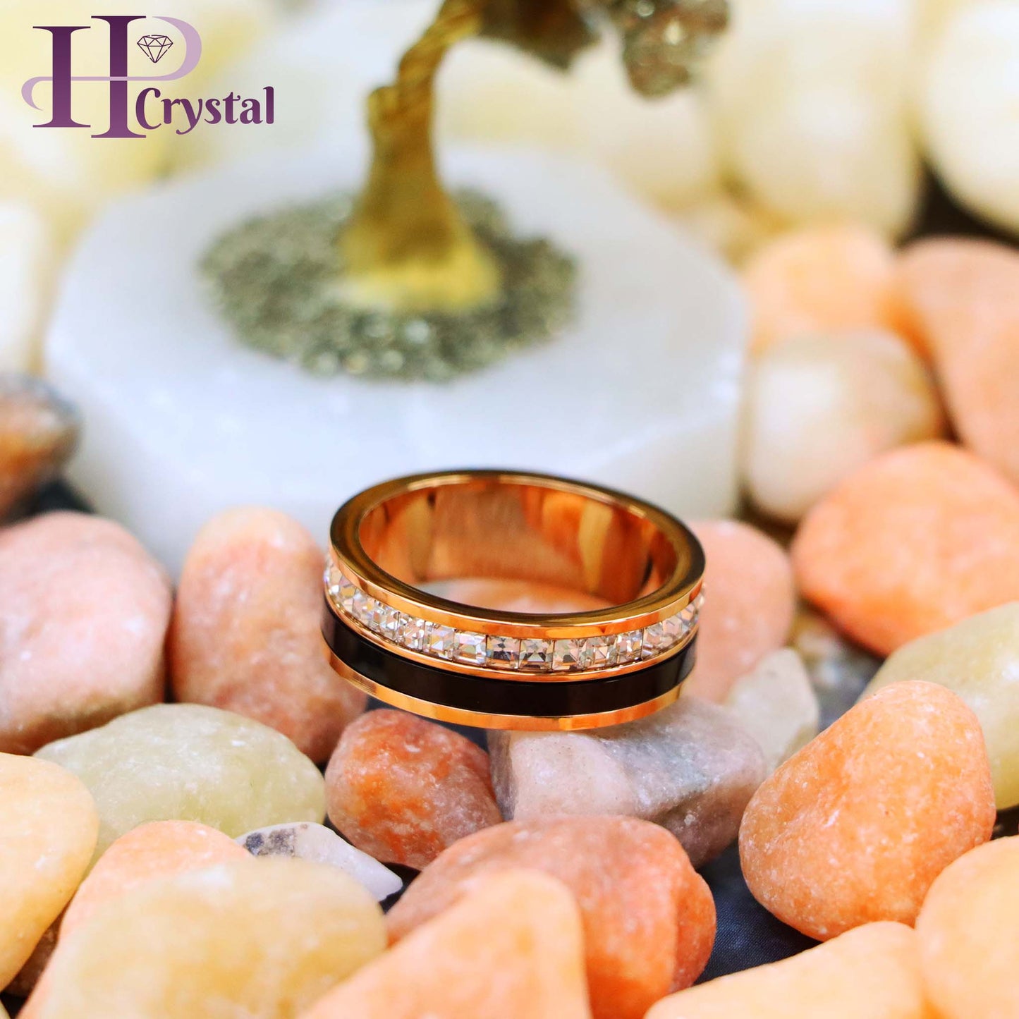 Rose Gold & Black IP Plated Titanium Spinner Princess cut Eternity CZ Titanium Ring